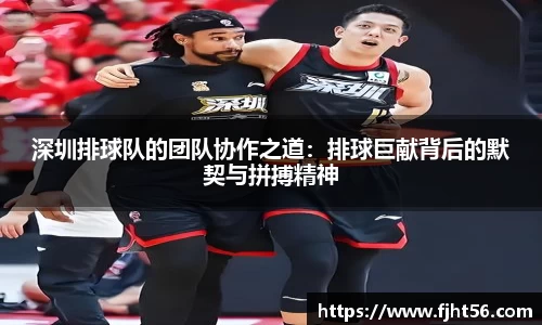 深圳排球队的团队协作之道：排球巨献背后的默契与拼搏精神